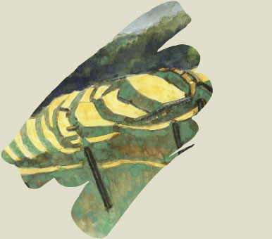 塩崎城跡鳥瞰図