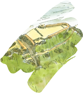 金井山城跡 鳥瞰図