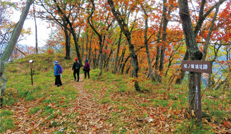 春山城跡（城ノ峰）