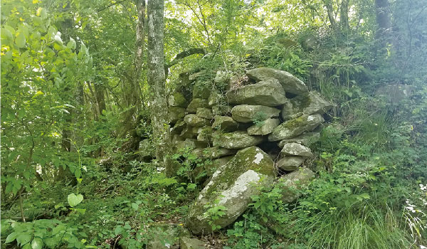 主郭虎口の石垣